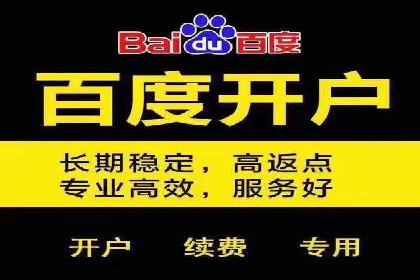 SEM外包助力品牌增长案例解析